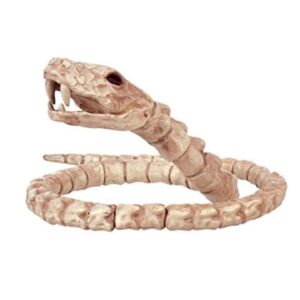 Snake Skeleton