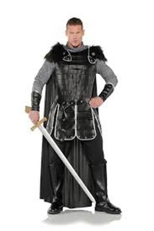 Warrior King Adult Costume