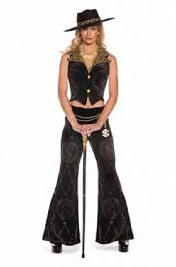 Lady Hustler Adult Costume