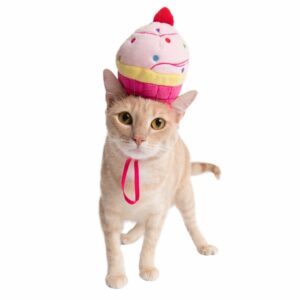 Pet Cupcake Hat