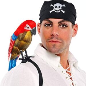 Pirate Parrot