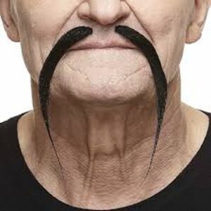 Chinese Fake Mustache