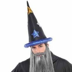 Wizard Hat Adult