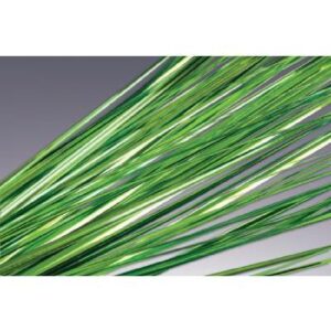 Green Onion Grass