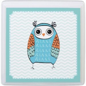 Blue Owl Sign