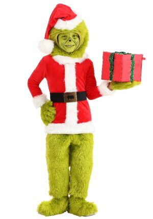 Grinch Santa Infant Costume