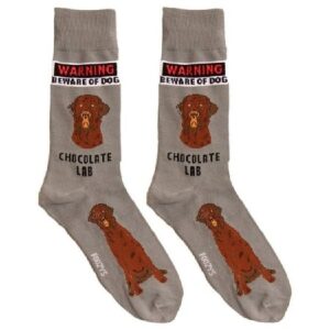 Hummingbird Adult Socks