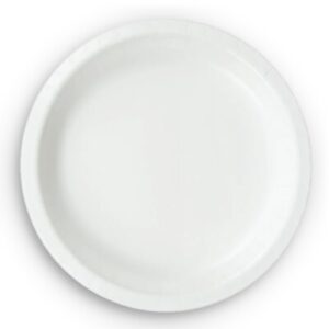 10" Paper Plates 24CT
