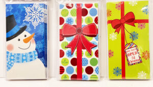 6ct Money Holder W Envelopes - 4 Styles